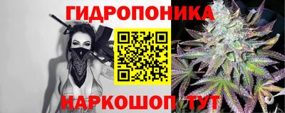 крисы Бийск