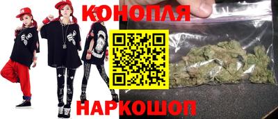 крисы Бийск
