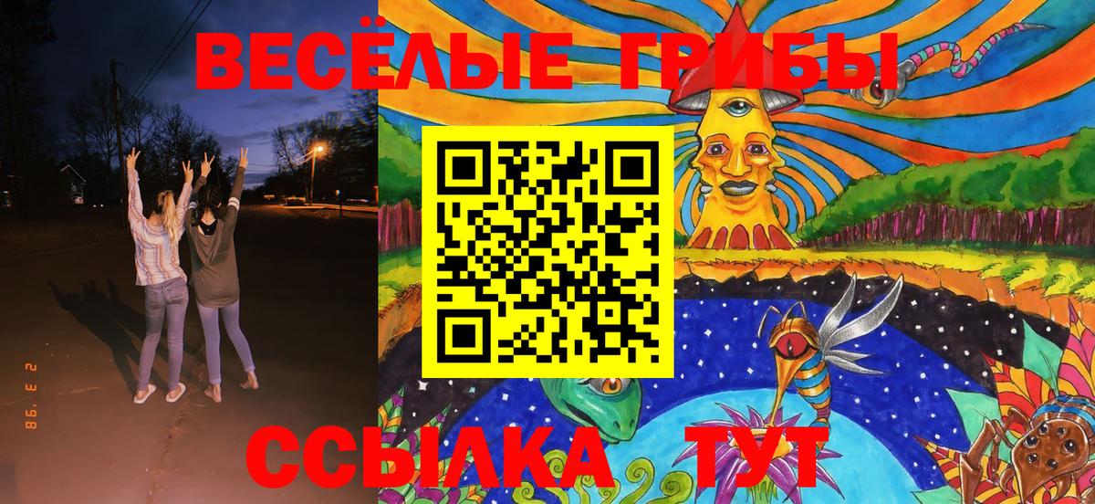 Зима  Галлюциногенные грибы MAGIC MUSHROOMS  наркота  Вход с VPN 