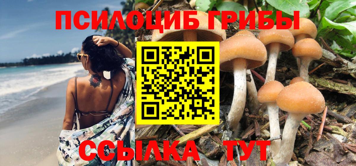 Псилоцибиновые грибы мухоморы Зима